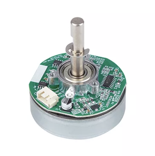 BLDC Motor
